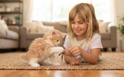 Curiosidades Fascinantes do Maine Coon: O Gigante Gentil que Desafia os Mitos Felinos